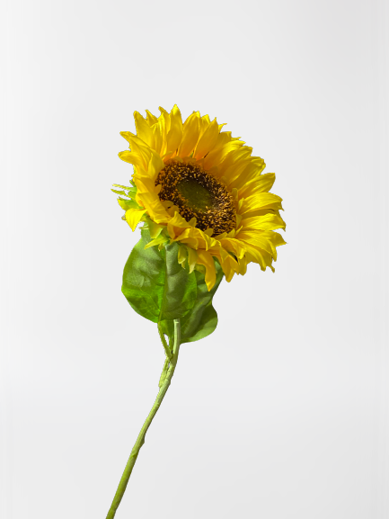 Mākslīgās Saulespuķes