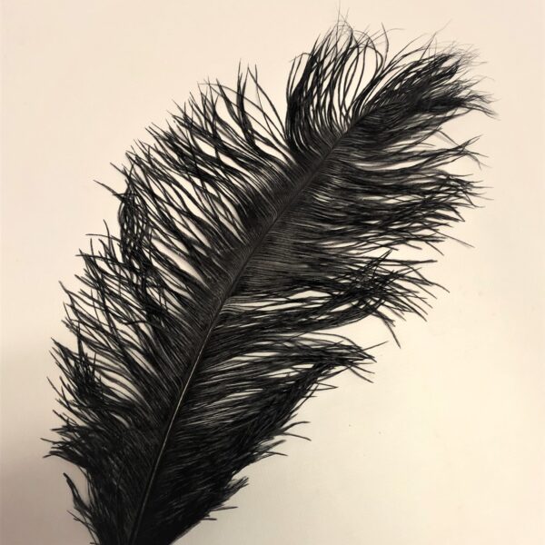 Dekoratīvas trausa spalvas.