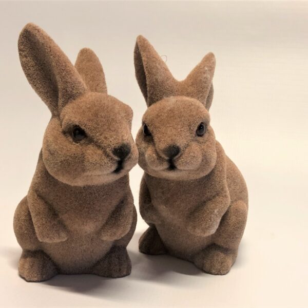 Dekoratīvs samta trusis.