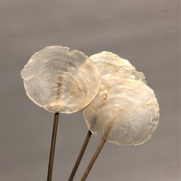 Pulēti perlamutra gliemežvāki uz kociņa.