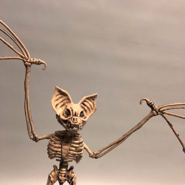 Sikspārņa skelets.