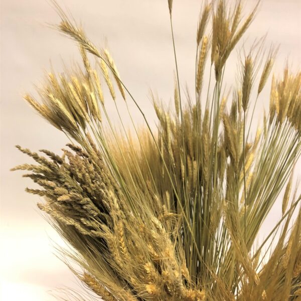 Bunte ar dažādiem labības augiem.