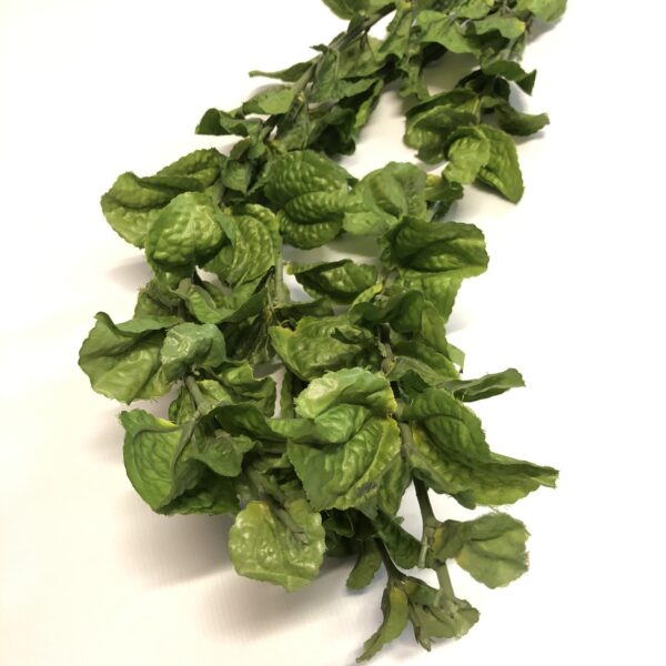 Mākslīgs dekoratīvais augs ar kātu gaiši zaļā krāsā.