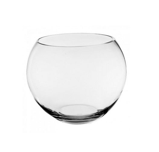 Stikla vāze - akvārijs.